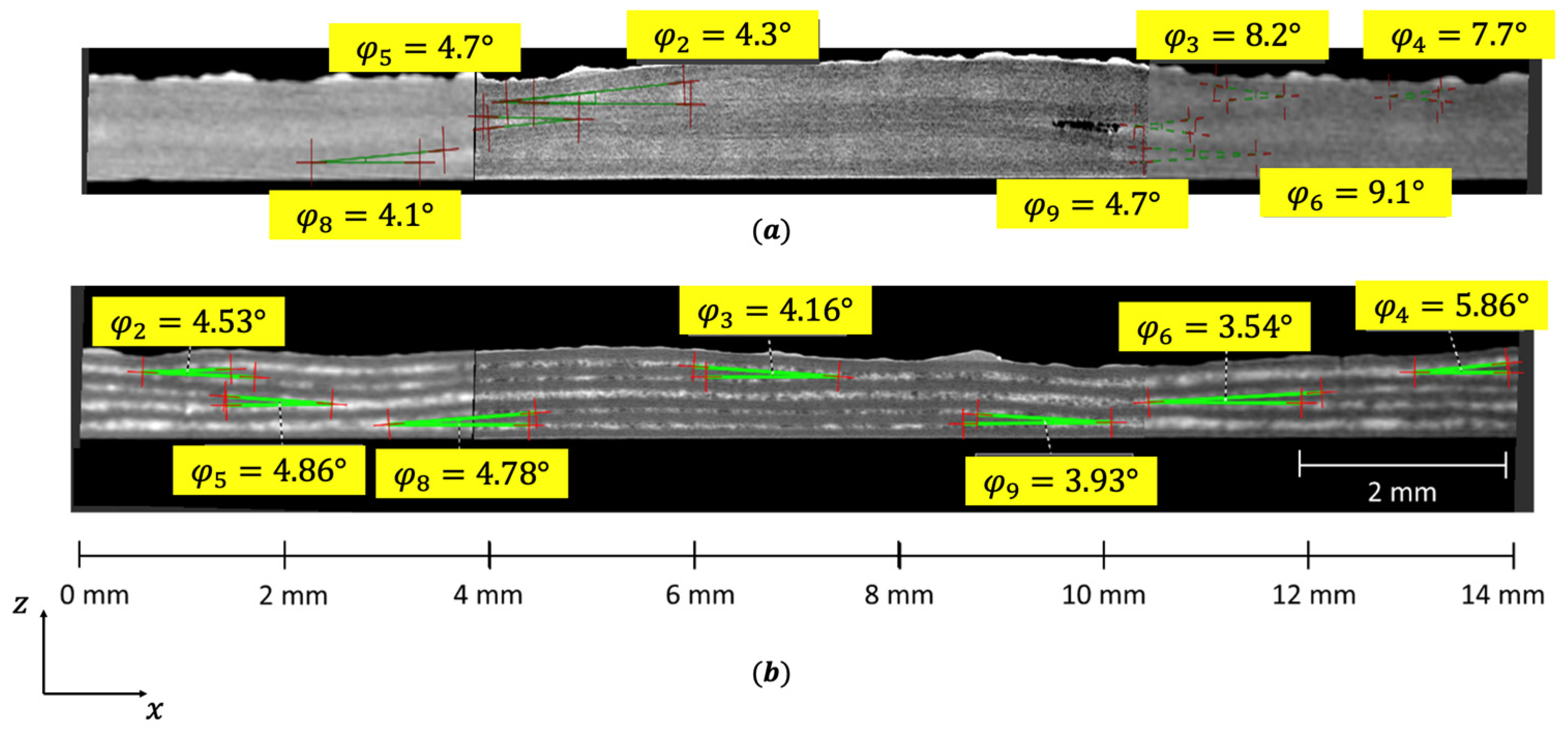 Fibers 13 00145 g012 Fibers 13 00145 g012