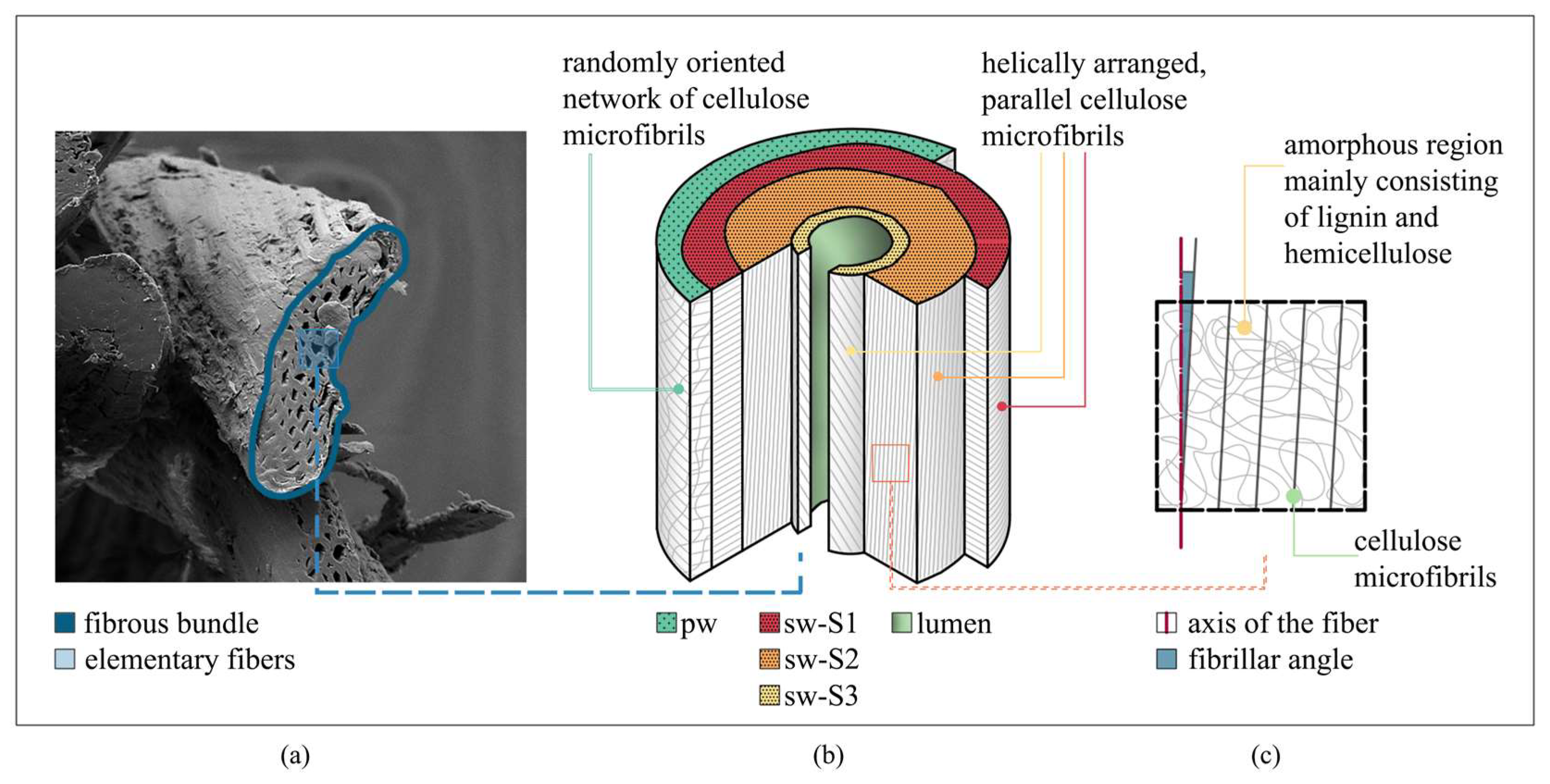 Fibers 13 00148 g001 Fibers 13 00148 g001