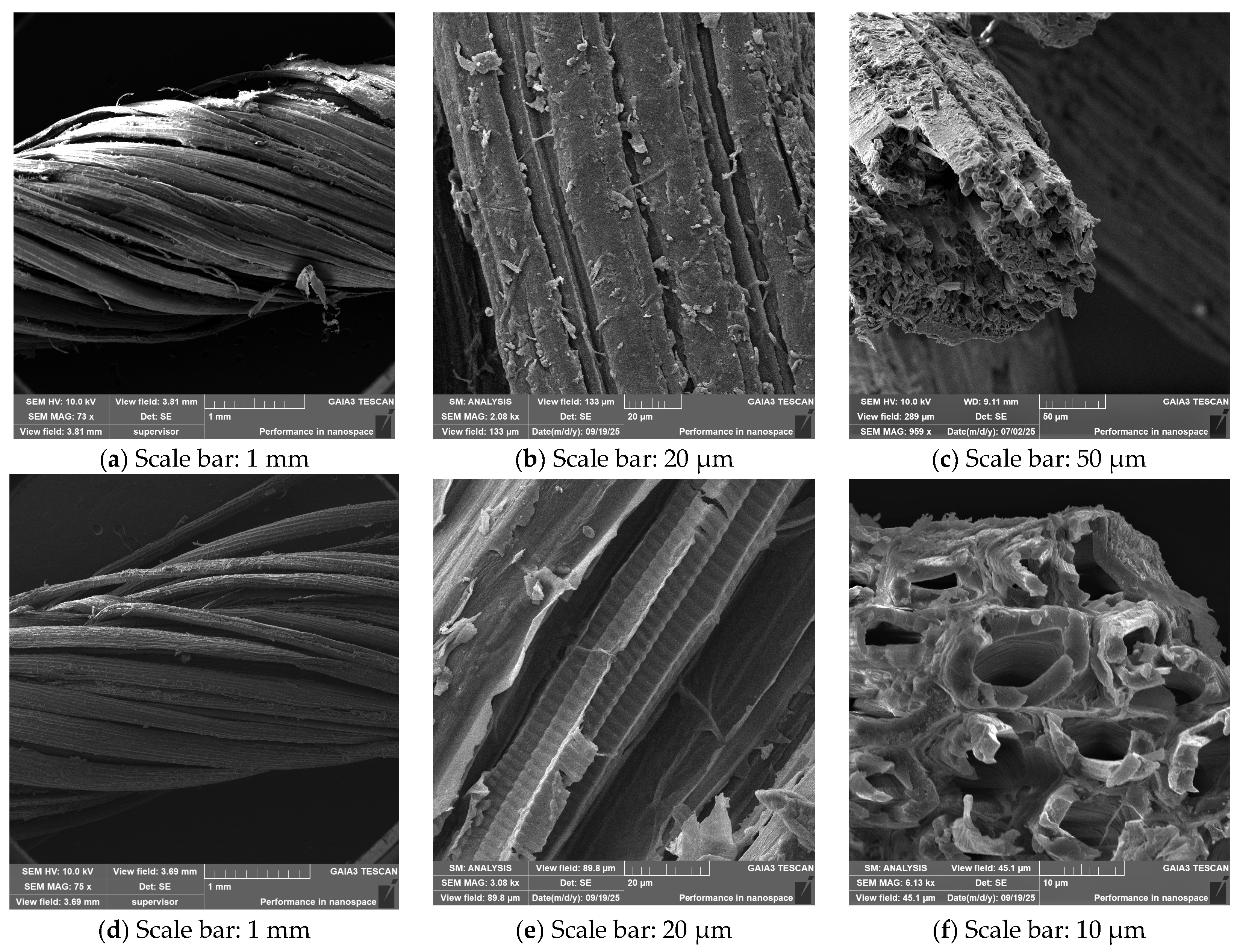 Fibers 13 00148 g007 Fibers 13 00148 g007