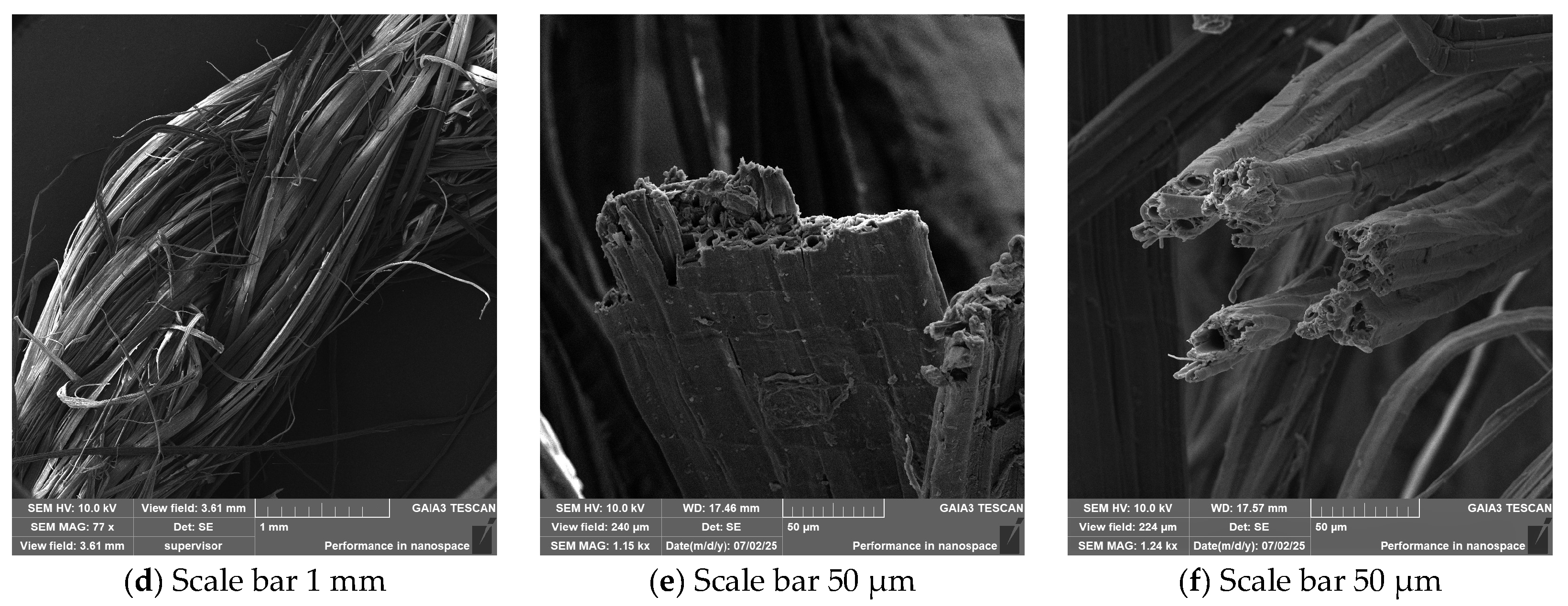 Fibers 13 00148 g009b Fibers 13 00148 g009b