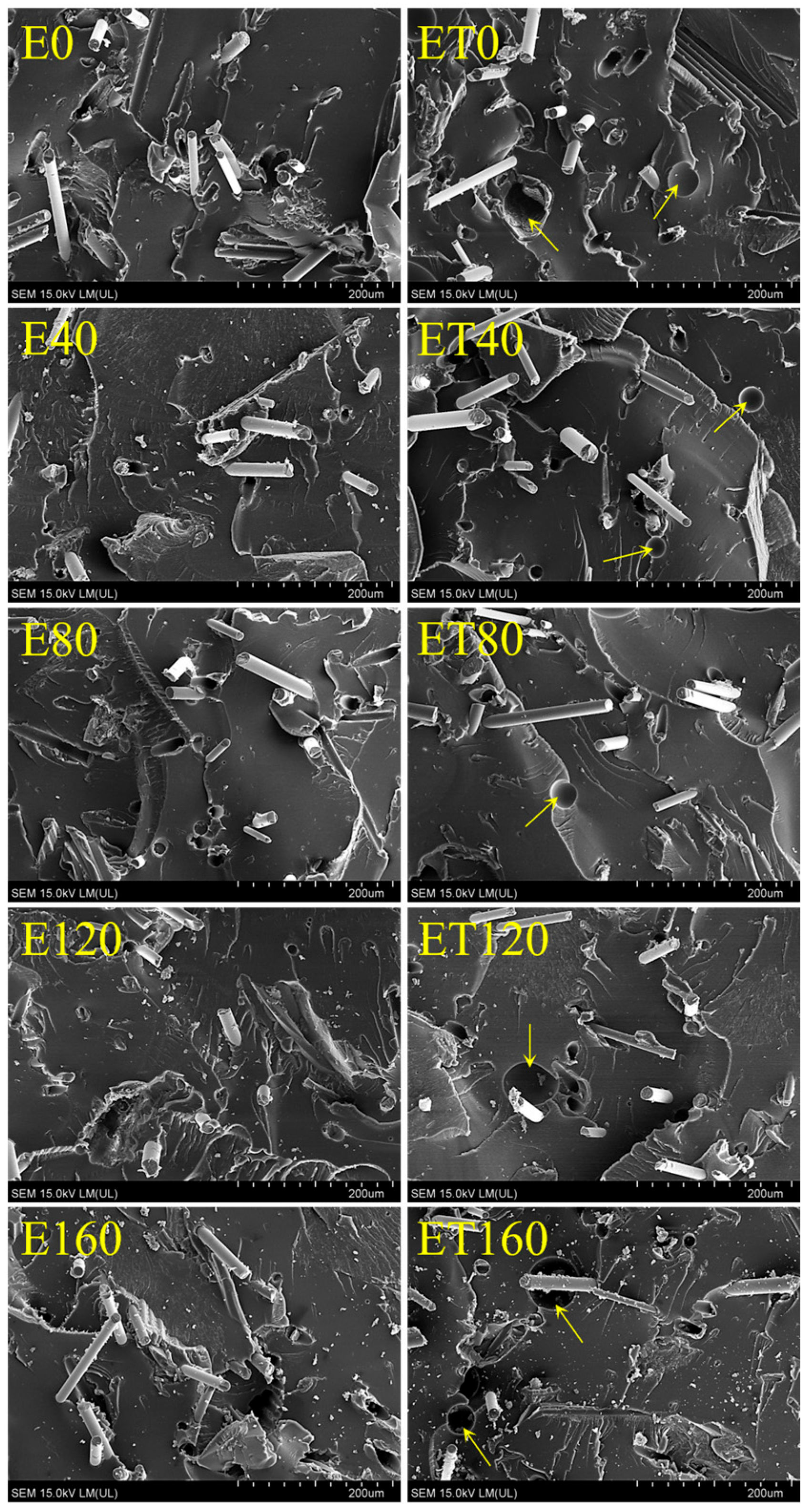 Fibers 13 00150 g005 Fibers 13 00150 g005