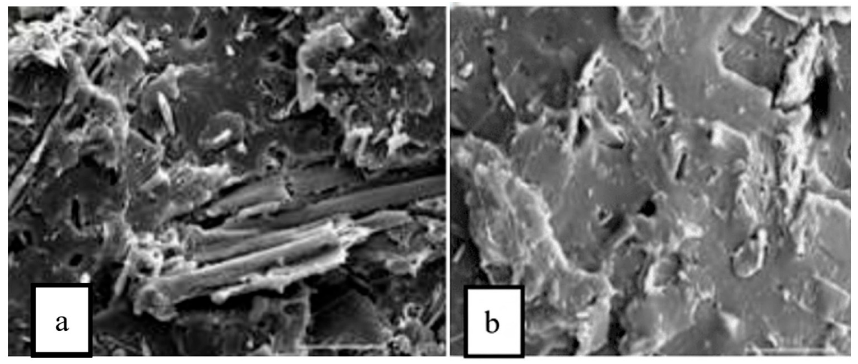 Fibers 13 00157 g010