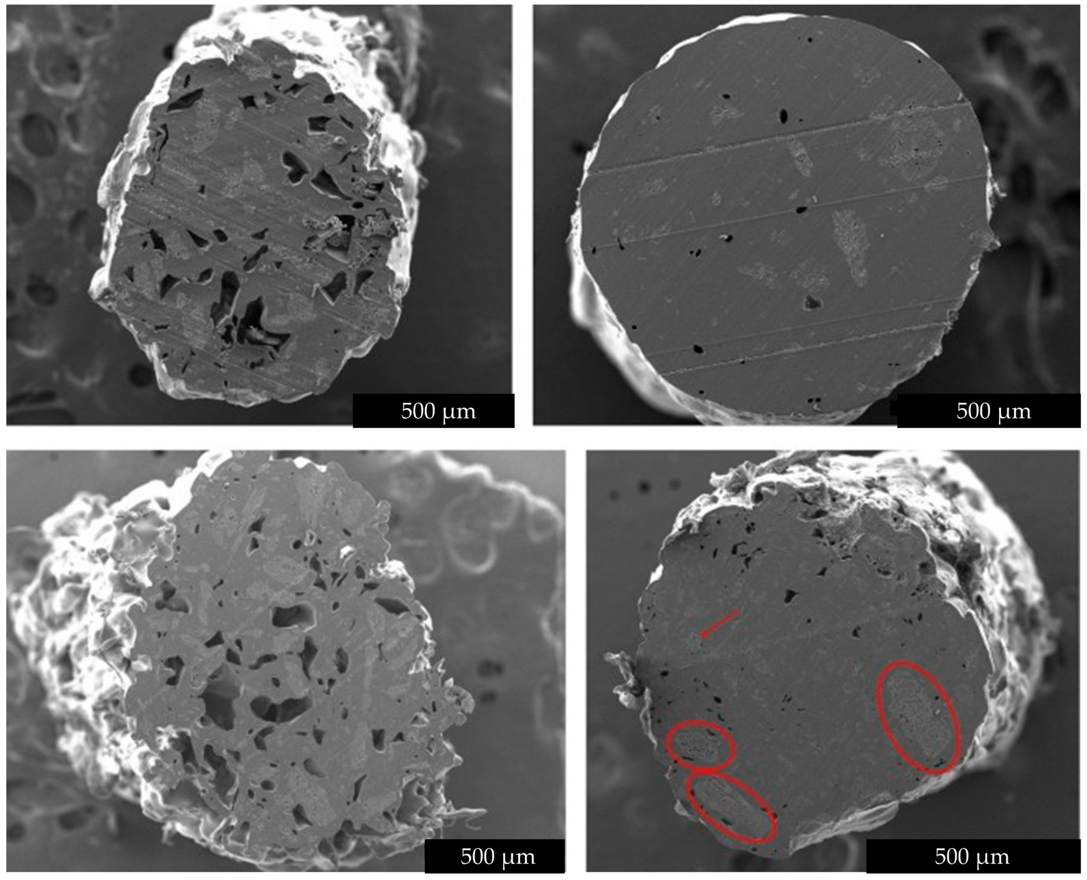 Fibers 13 00157 g013