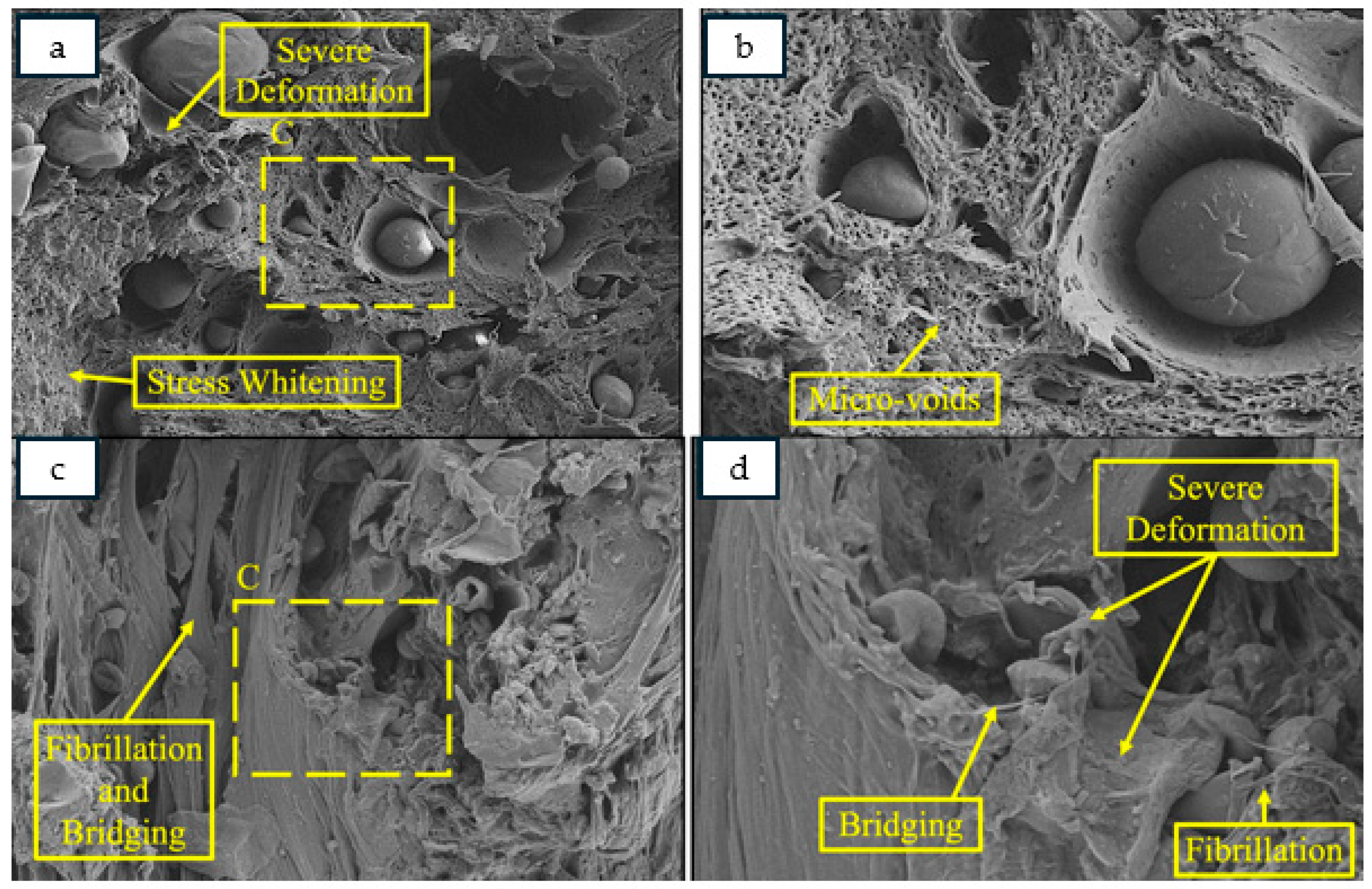 Fibers 13 00157 g019