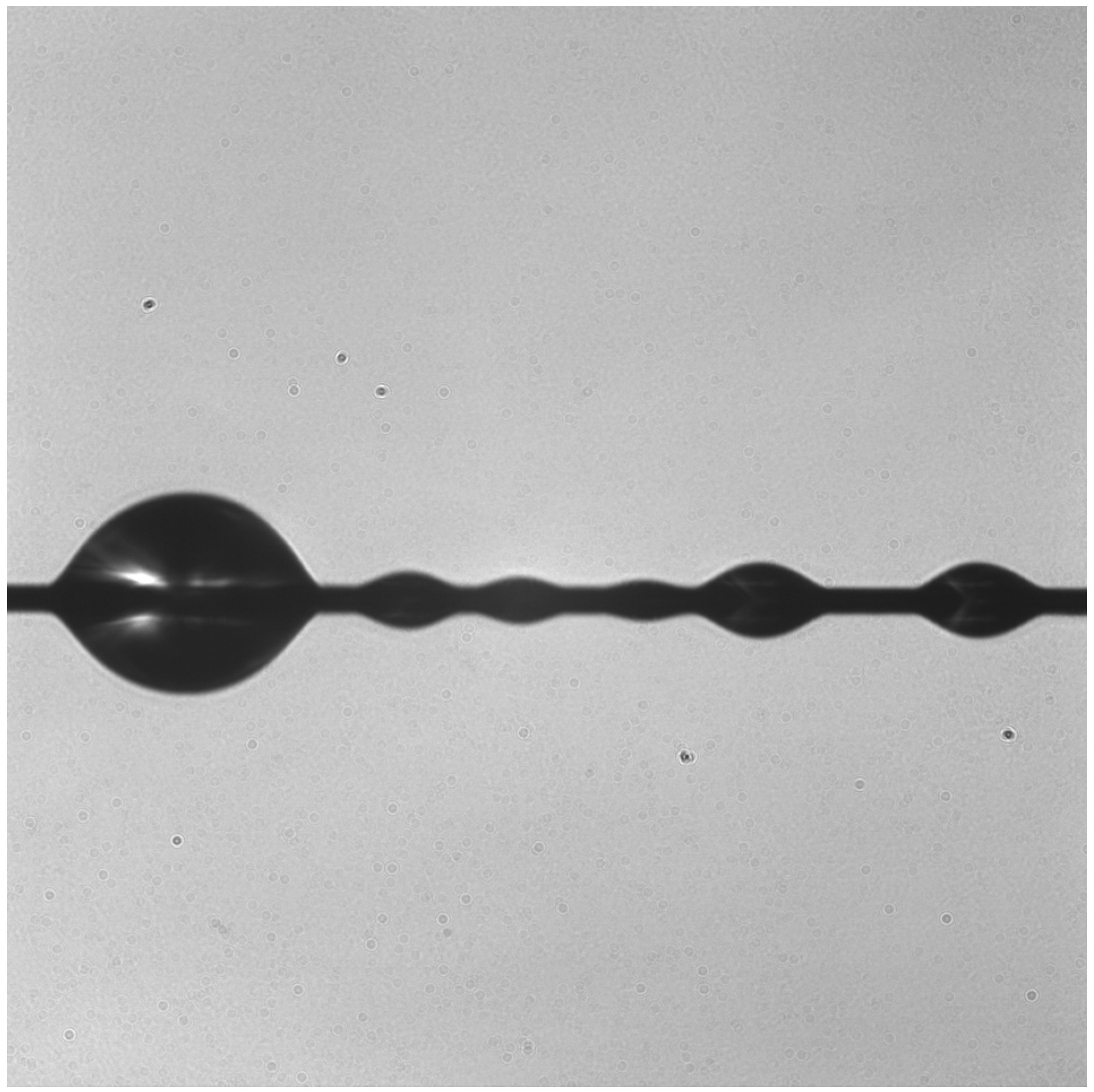 Fibers 13 00158 g005