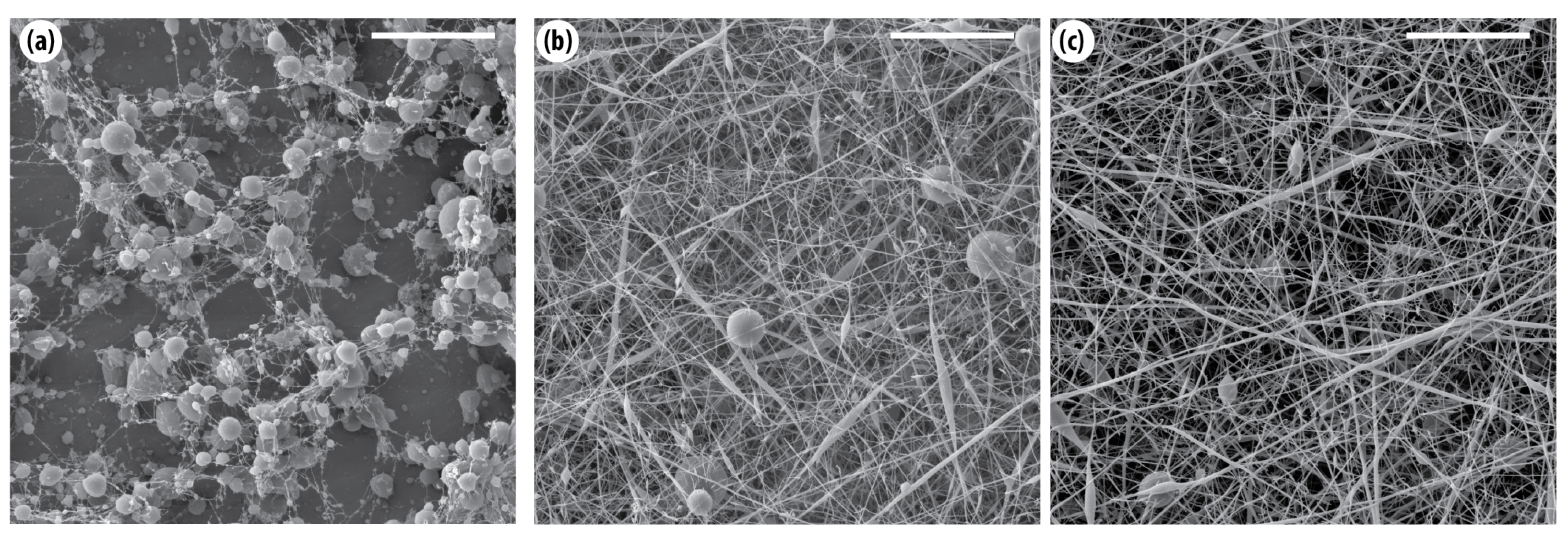 Fibers 13 00161 g001 Fibers 13 00161 g001