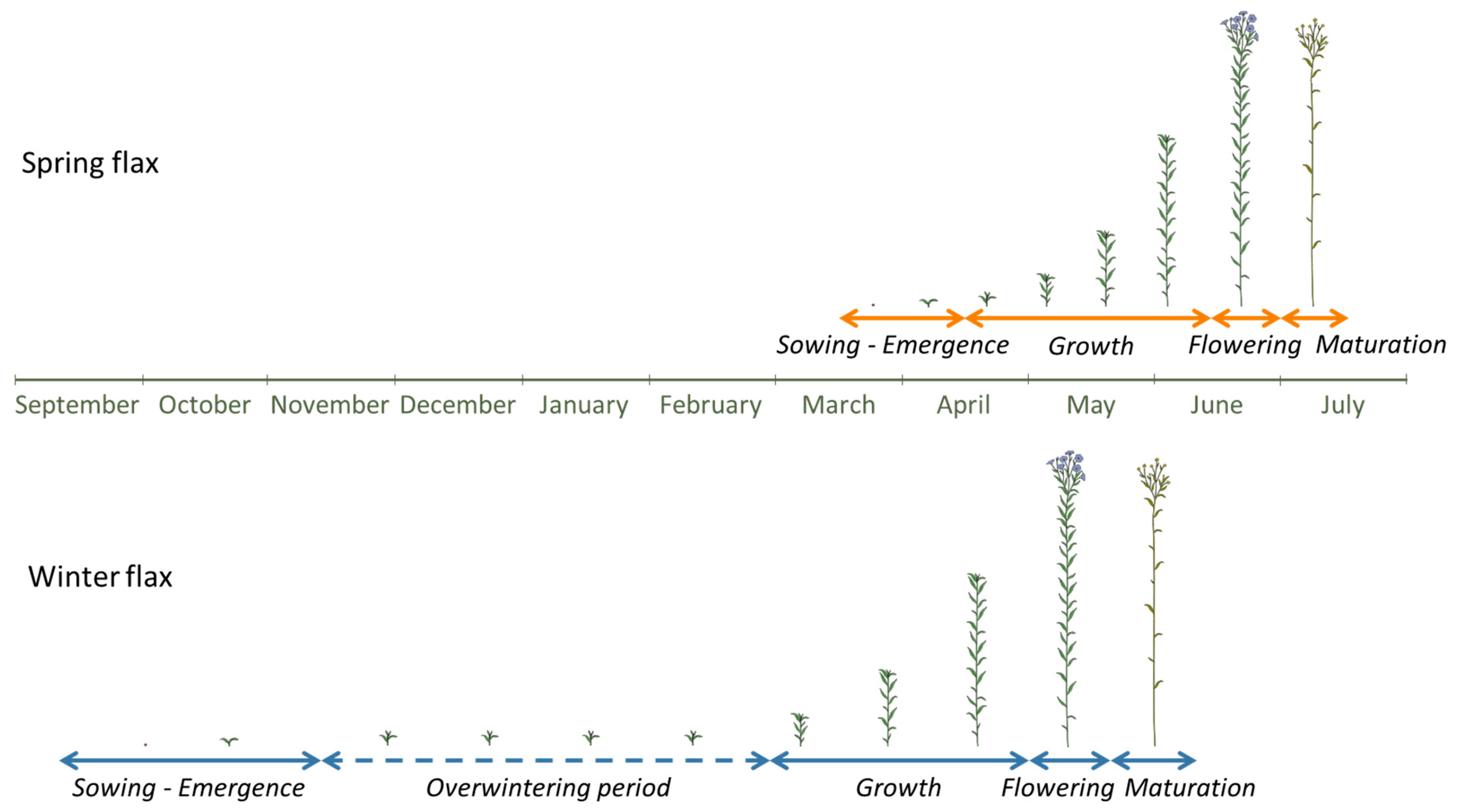 Fibers 14 00002 g001