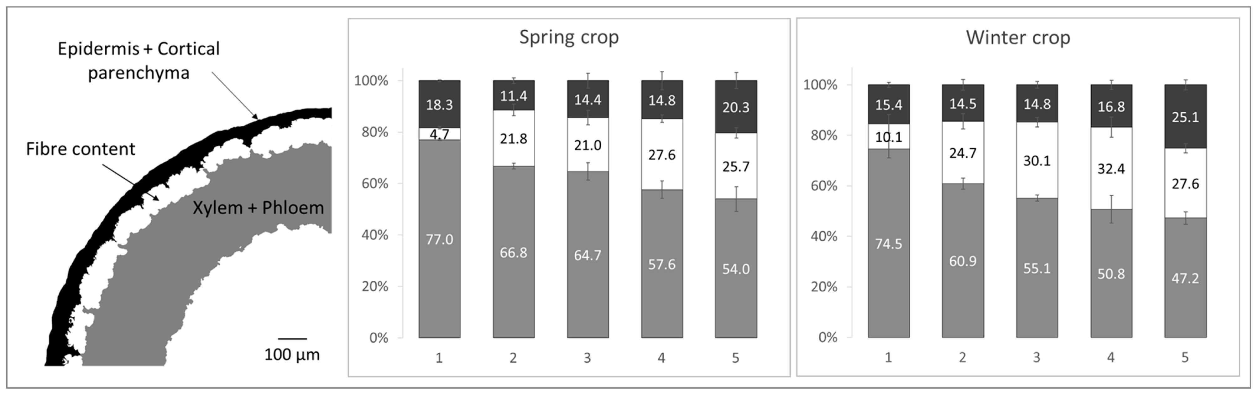 Fibers 14 00002 g006