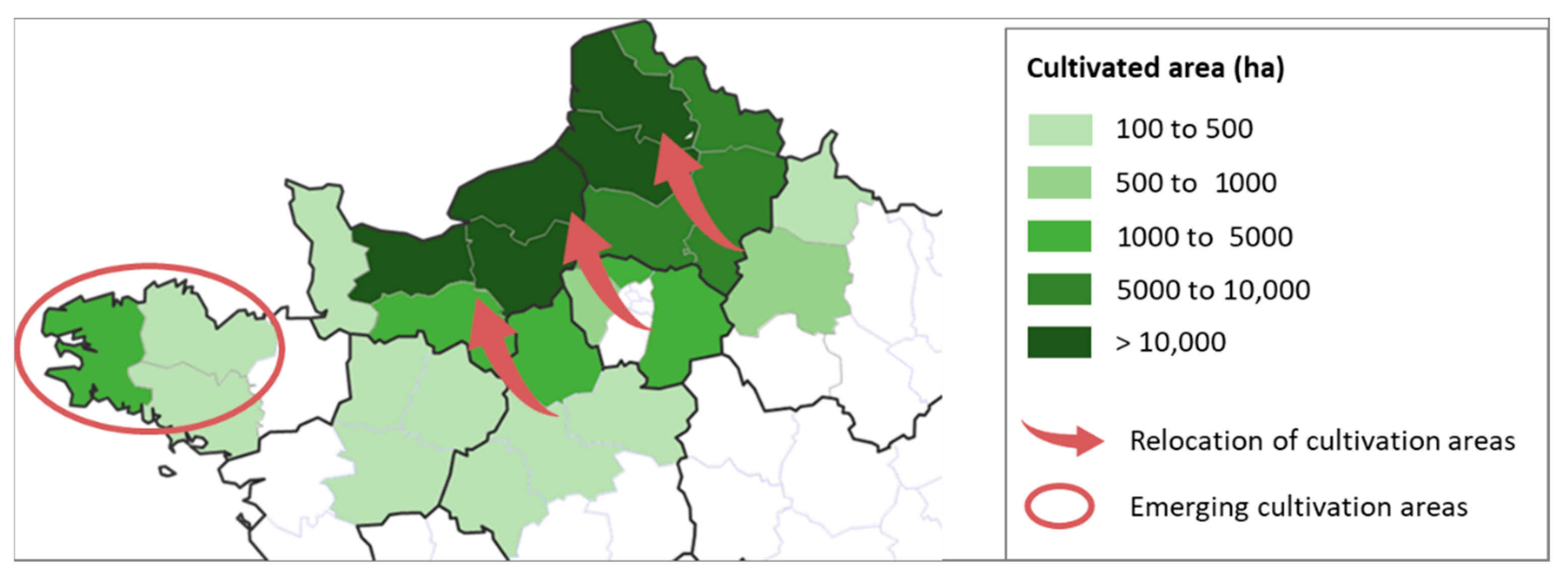 Fibers 14 00002 g010