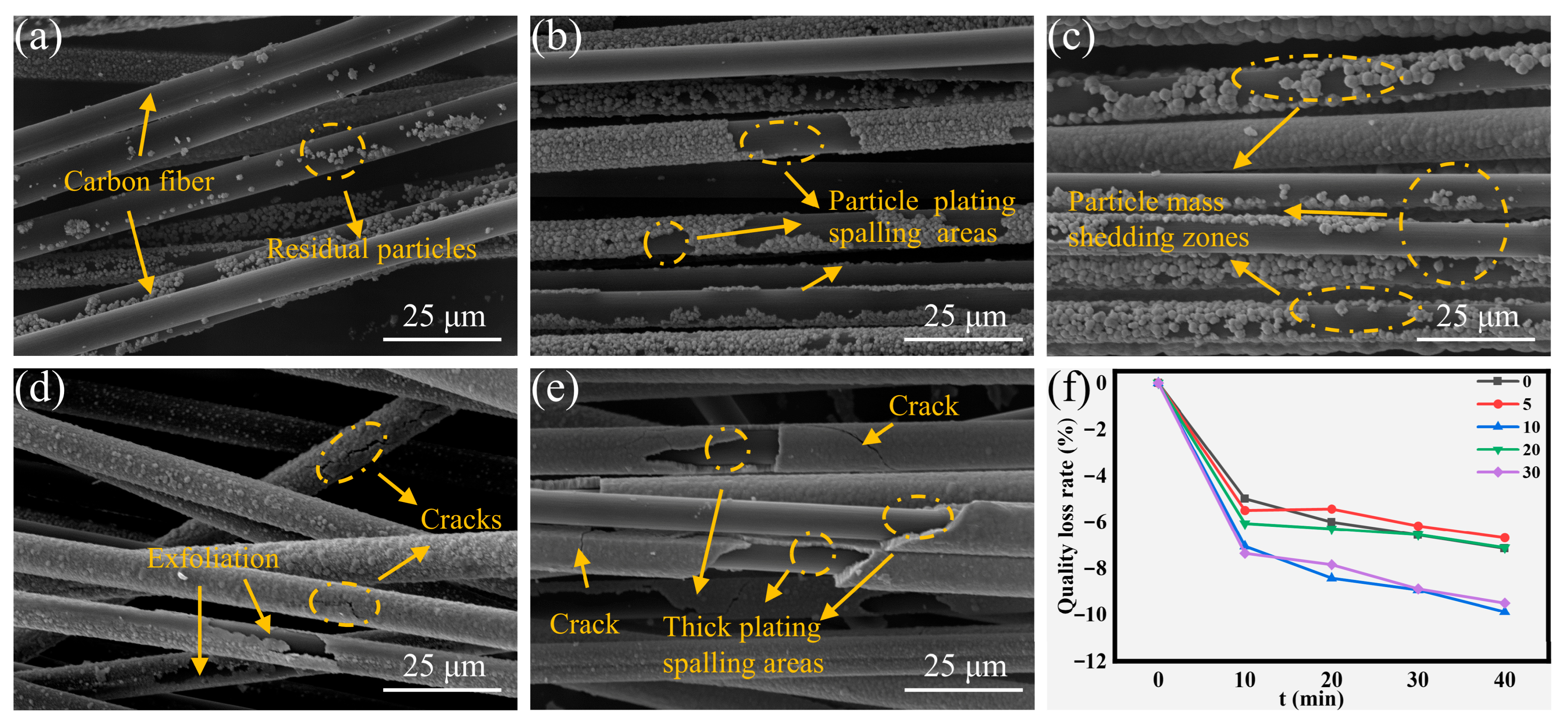 Fibers 14 00005 g007