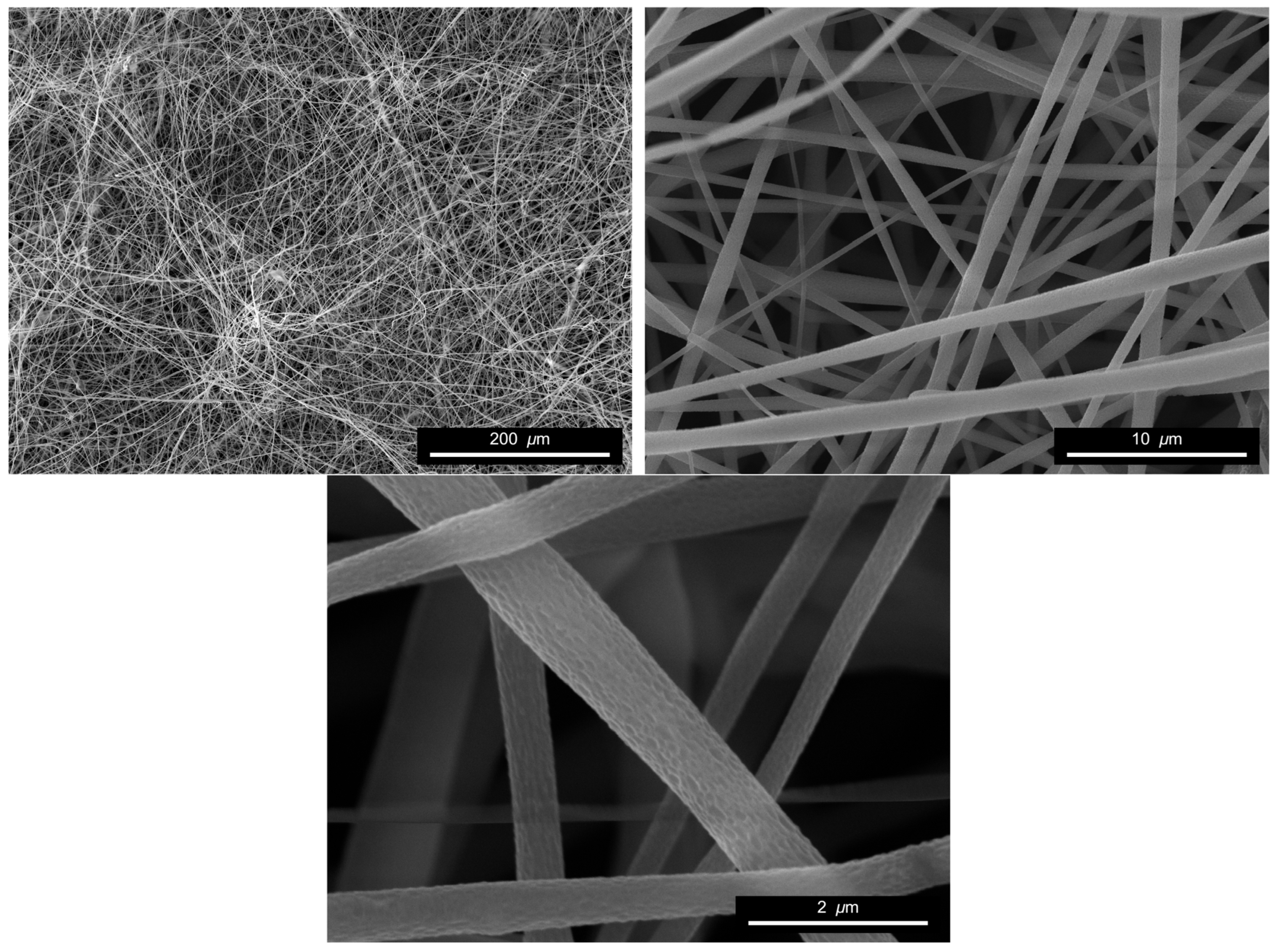 Fibers 14 00006 g005