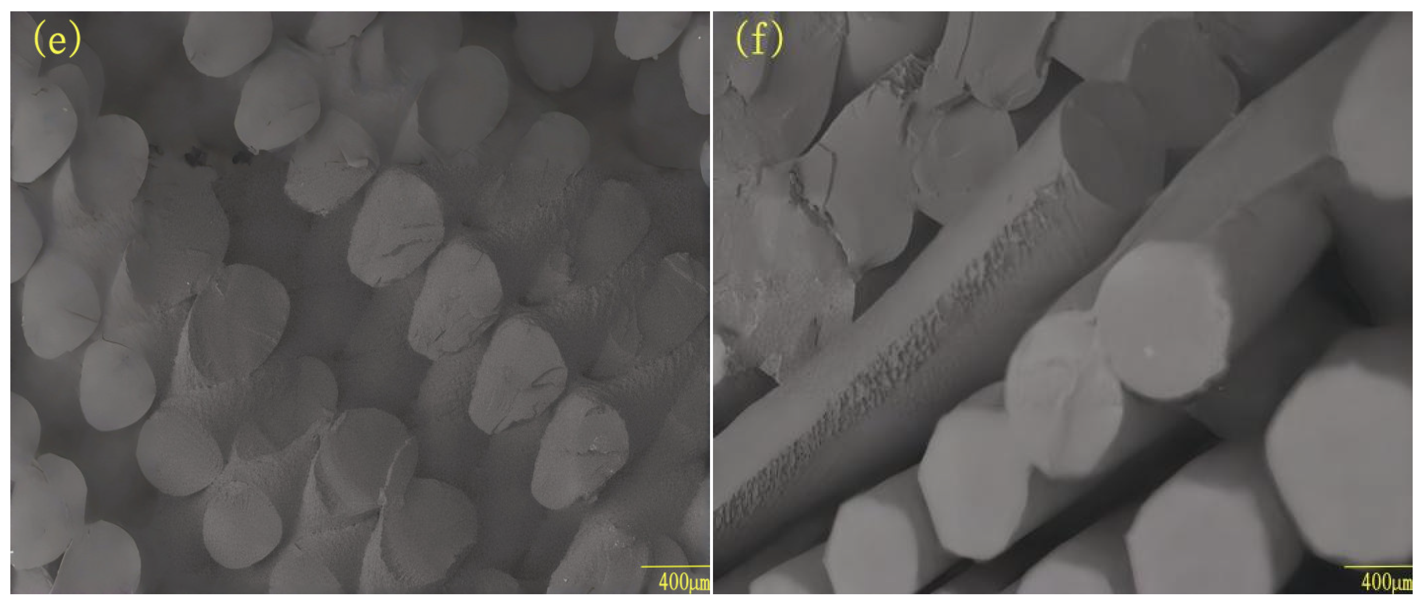 Fibers 14 00019 g006b