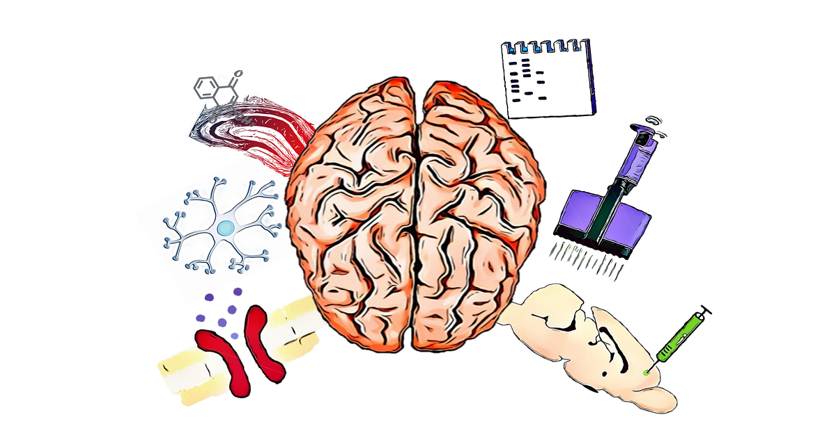 Applications of Biomedical Technology and Molecular Biological Approach in  Brain Diseases