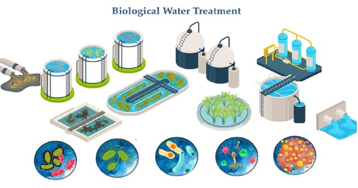 Water | Special Issues