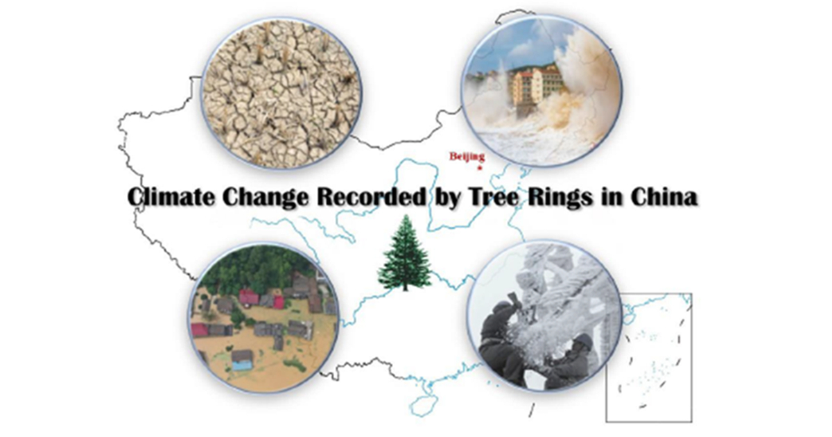 Applied Sciences Special Issue Recent Advances in the Tree Ring