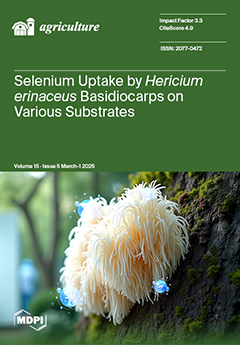 Issue Cover