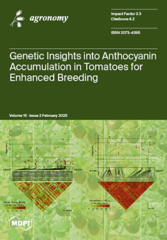 Issue Cover