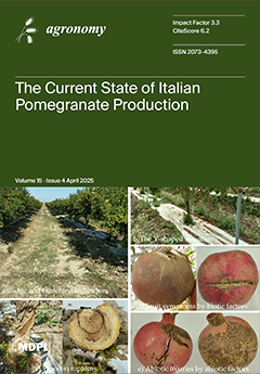 Issue Cover