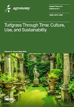 Issue Cover