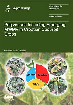 Issue Cover