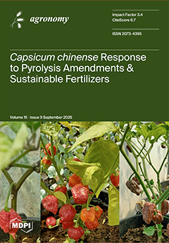 Issue Cover