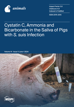 Issue Cover