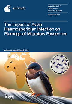 Issue Cover