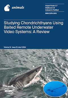 Issue Cover