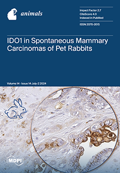 Issue Cover