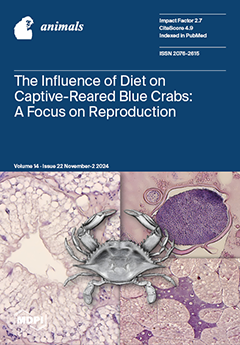 Issue Cover