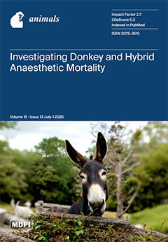 Issue Cover