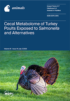 Issue Cover