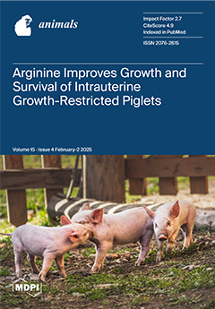 Issue Cover