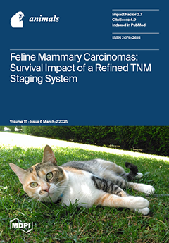 Issue Cover