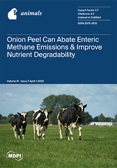 Issue Cover