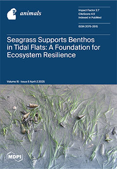 Issue Cover