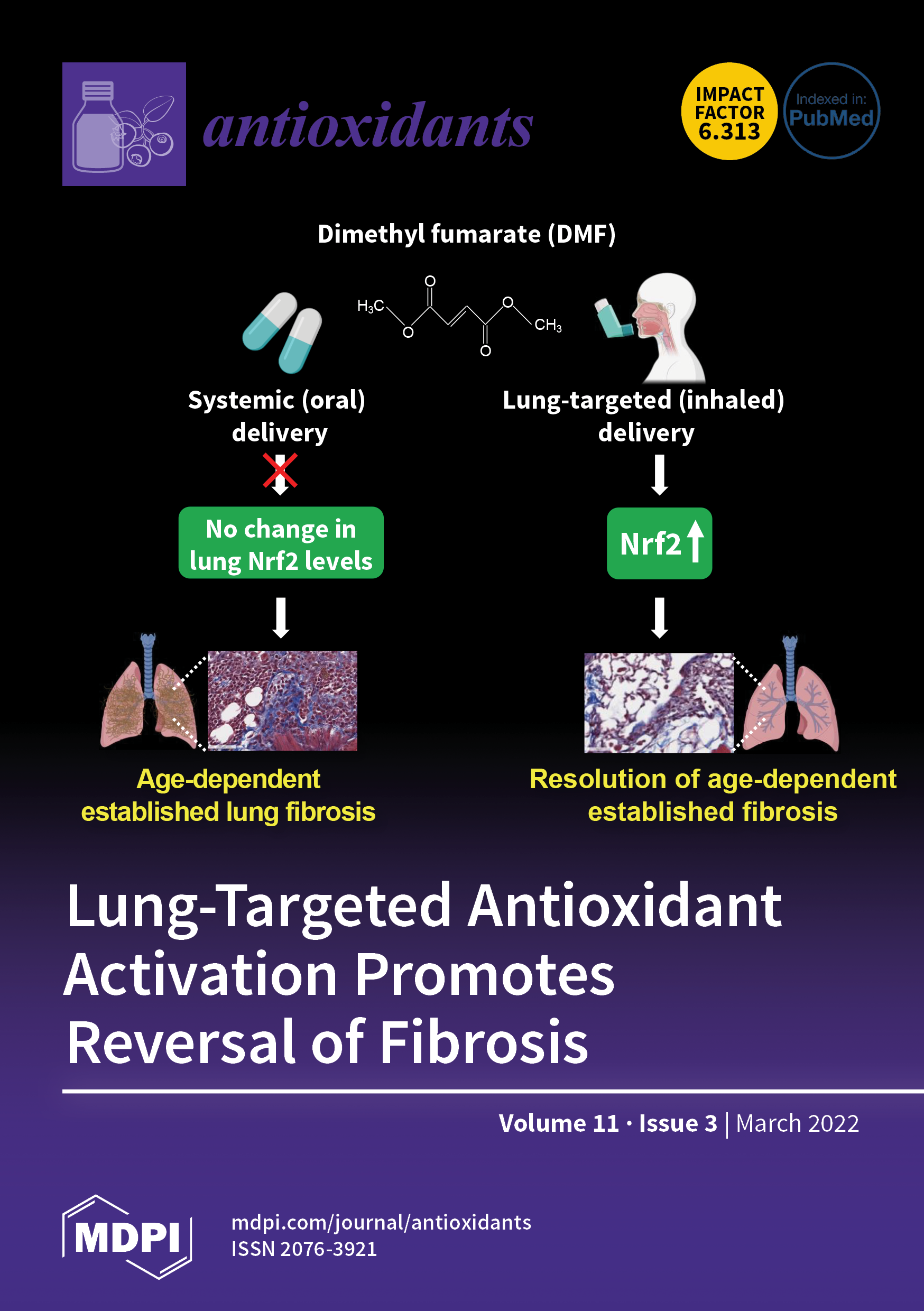 Antioxidants March 2022