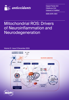 Issue Cover