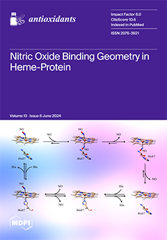 Issue Cover