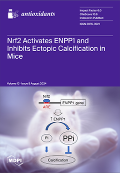 Issue Cover