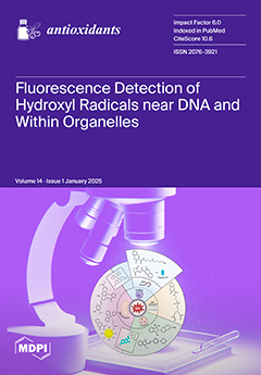 Issue Cover