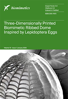 Issue Cover