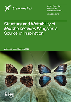 Issue Cover