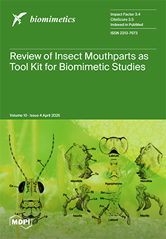 Issue Cover