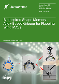 Issue Cover