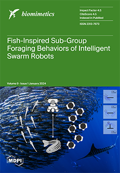 Issue Cover