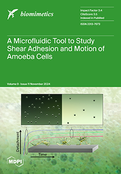 Issue Cover