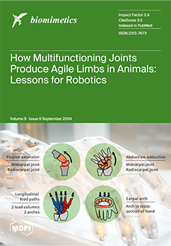 Issue Cover