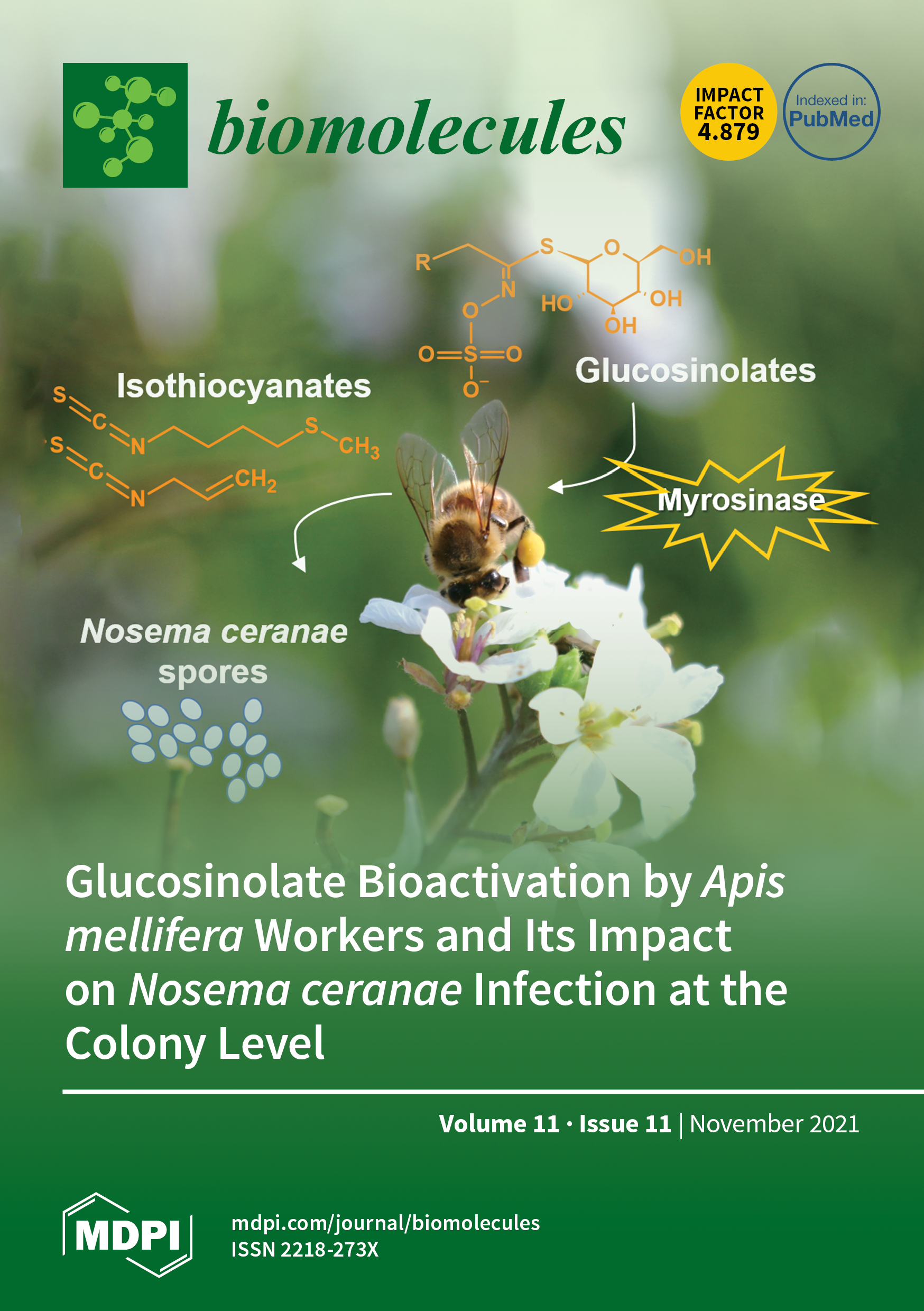 https://www.mdpi.com/files/uploaded/covers/biomolecules/big_cover-biomolecules-v11-i11.png