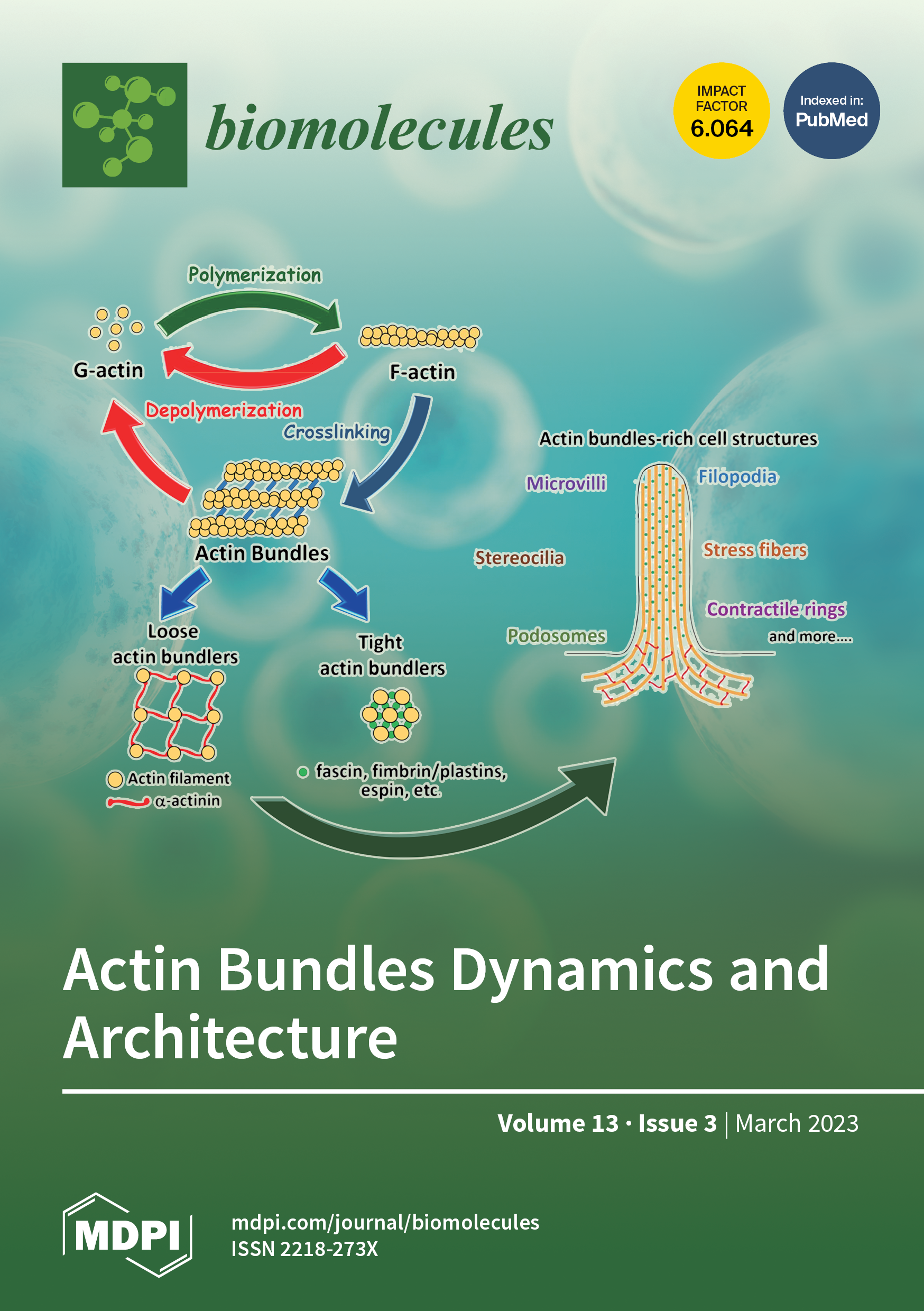 https://www.mdpi.com/files/uploaded/covers/biomolecules/big_cover-biomolecules-v13-i3.png